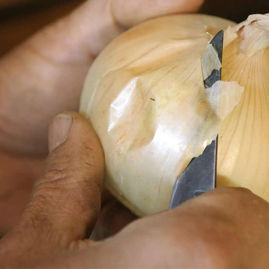 The protected designation of origin for Cevennes' sweet onion